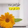 nooralzubidi3