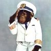 the_captain_chimp