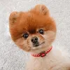 pigthepom