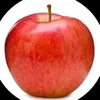 bro_i_am_an_apple