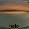 matb_312