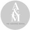 amaizing_model