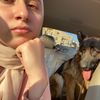 sarahhazem397