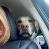 sonja.tennessee