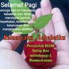 leop71