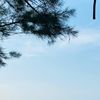 apaya_349