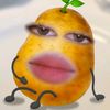 secretsofca_