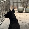 dopevibeswithrocco