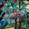 _leklek_2222