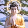 user61061384
