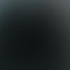 kj_qq81