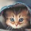fatenabdulaziz44