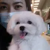 budolfindzzz888
