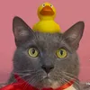 lotkov_official1