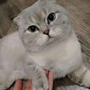 fi_dan001