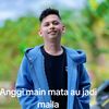 hobynihboss