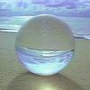 lexyl_d