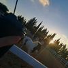 amalsh444