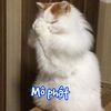 doristth_79