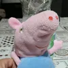 fernandopatanga