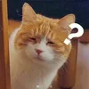 chinhnguyenart81