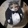 dooommmyyy