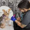bloodie_ink_tattoo
