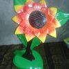 tati15702691