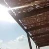 susu11111111111