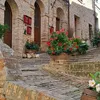 luisaealle
