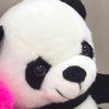 user1953151101119