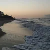 alexiap4