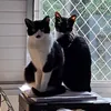 benemariaa