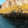 juanurte