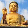 magicbuddha8