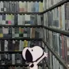 artxfilmss