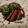 lennythecrab
