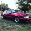 user801280901