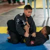 vitor__.2