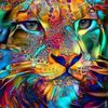 candiyam3