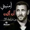 user08293107