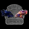 cmccichlids