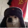 yuriwy7