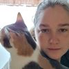 arielandthecats