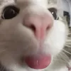 hyzxza