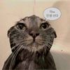 user39194961