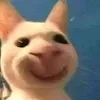 doembiet18