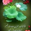 user78451927
