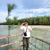 kupu_kupu22