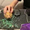 wnspnya_
